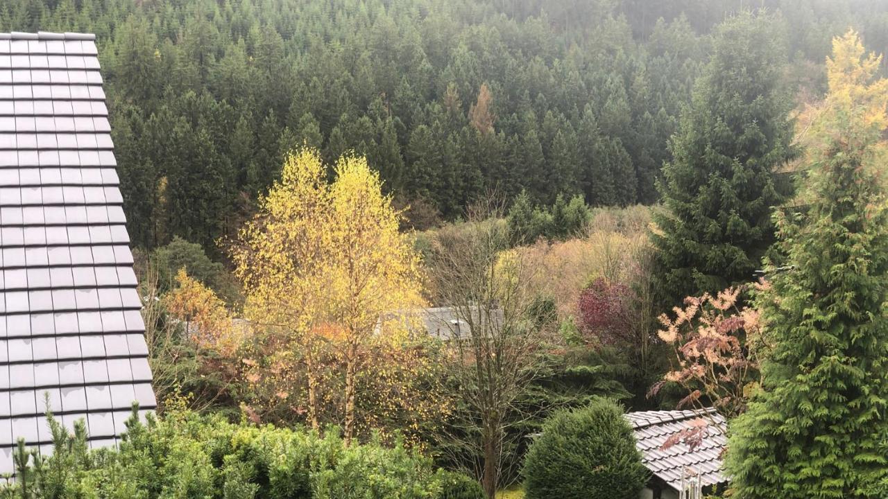 Fewo Berg Idyllika Willingen  Dış mekan fotoğraf