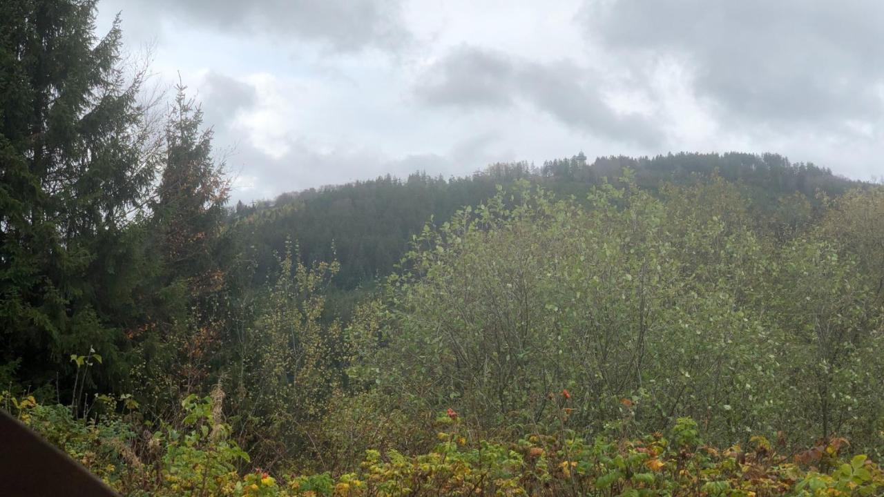 Fewo Berg Idyllika Willingen  Dış mekan fotoğraf