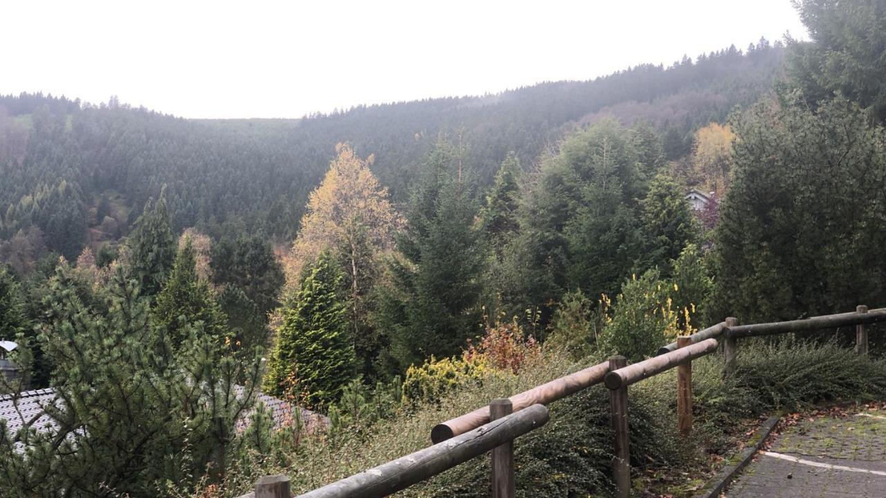Fewo Berg Idyllika Willingen  Dış mekan fotoğraf